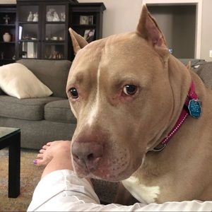 Meet your Posher, Elizabeth